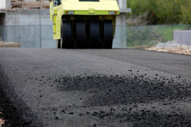 Best Custom Driveway Pavers  in Sangaree, SC