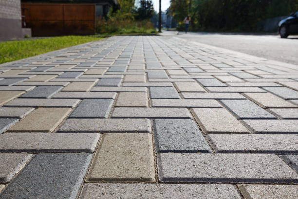Best Local Driveway Pavers  in Sangaree, SC