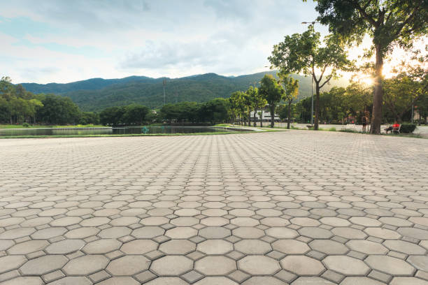 Best Affordable Driveway Pavers  in Sangaree, SC